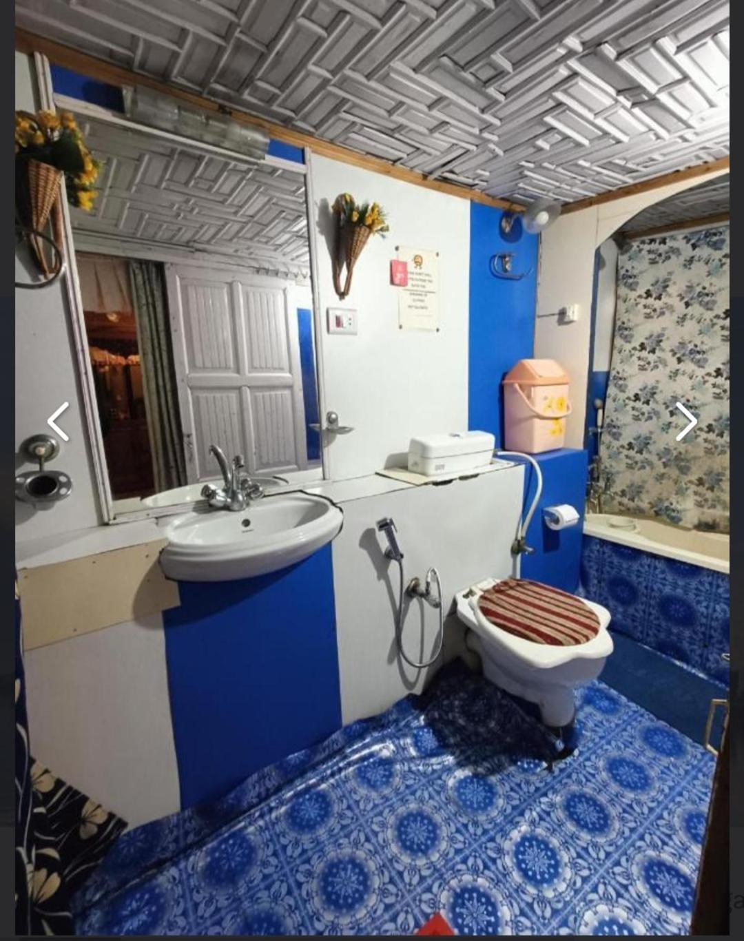 ホテル New Minar Group Of Houseboats Srīnagar エクステリア 写真