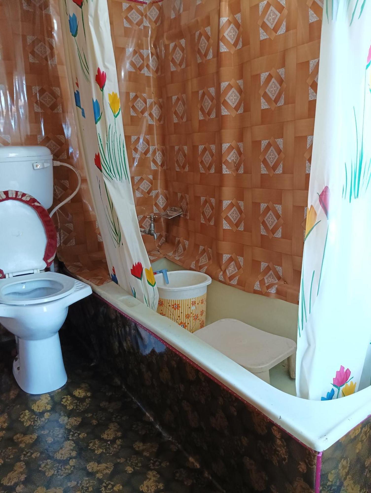ホテル New Minar Group Of Houseboats Srīnagar エクステリア 写真