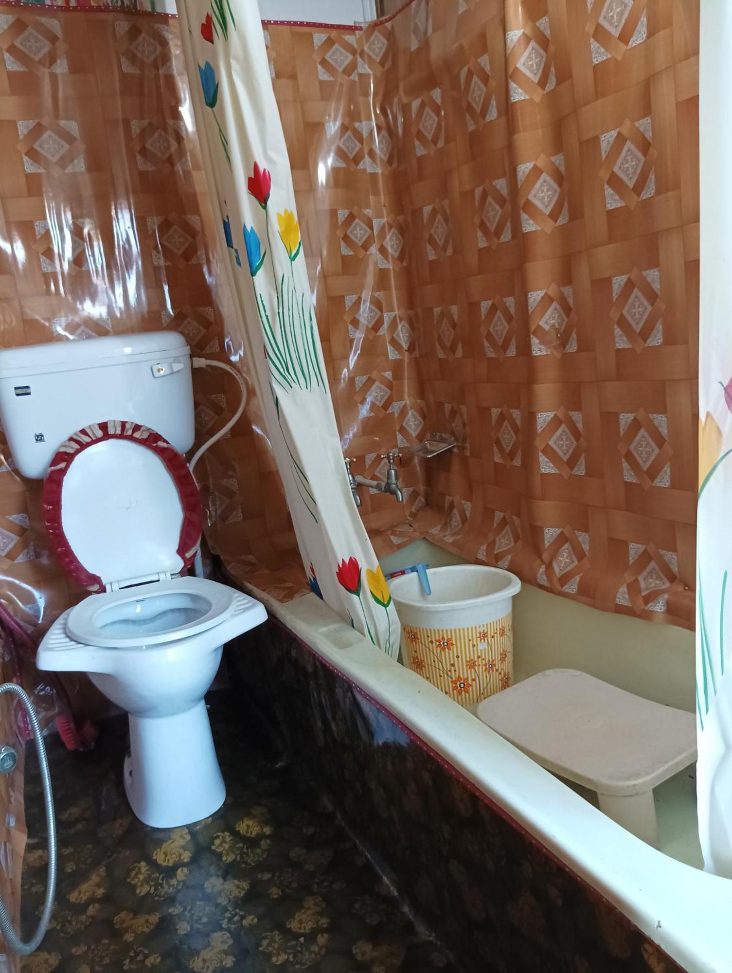 ホテル New Minar Group Of Houseboats Srīnagar エクステリア 写真